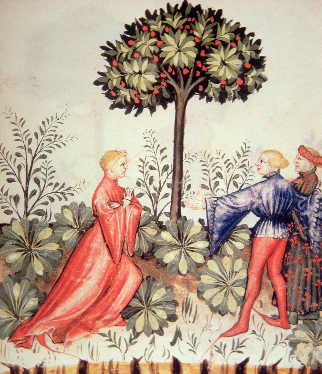 Nova 2644 fol.24r Harvesting Senap, från Tacuinum Sanitatis av Italian School