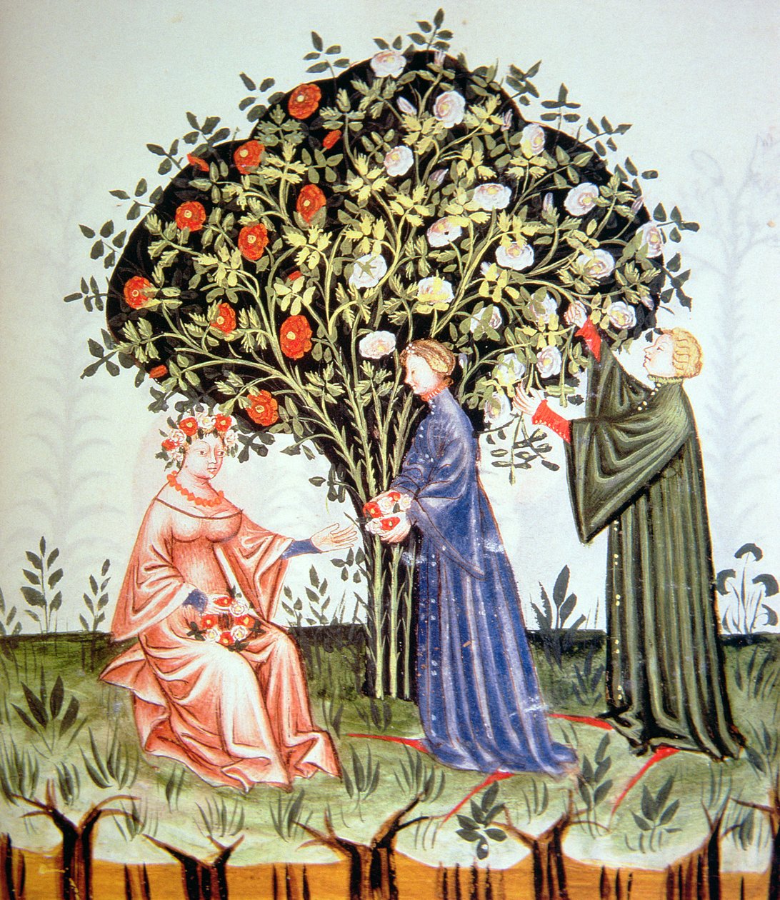 Nova 2644 fol.38r Gathering Roses, illustration från Tacuinum Santiatis Codex Vindobonensis av Italian School