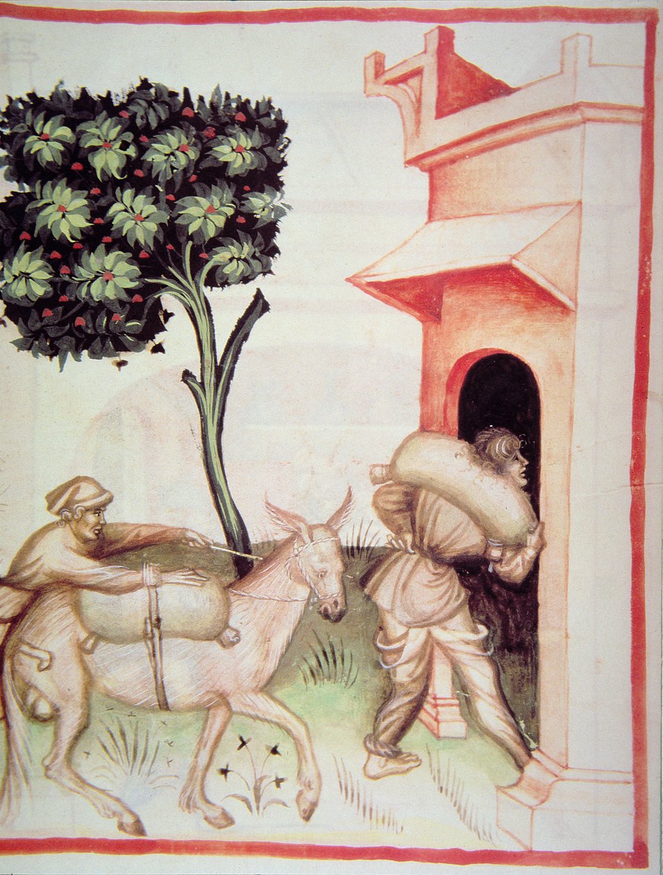 Nova 2644 fol.91v Olivolja: transport av oliverna, från Tacuinum Sanitatis av Italian School
