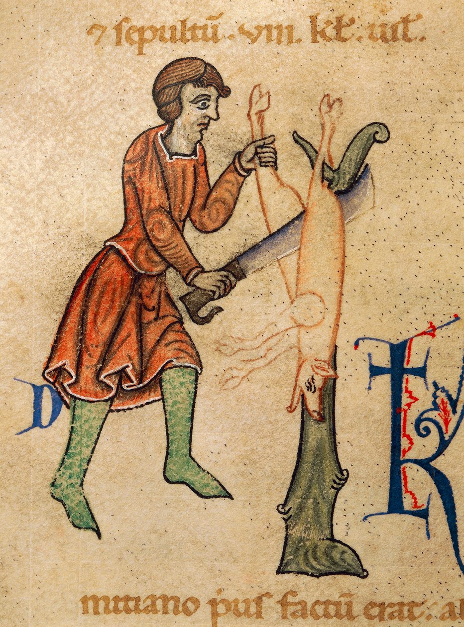 November, Butcher Quarters gris, Miniatyr från Martyrology of Adonis, Italien av Italian School