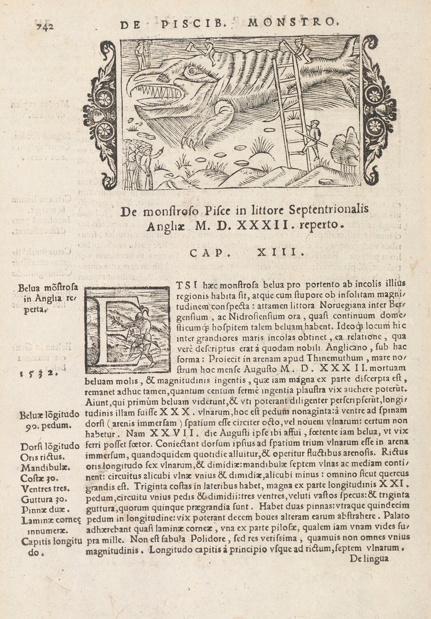 Sida 742 från History of the Northern Gentivus av Magnus Olaus, Rom 1565 (tryck & gravyr) av Italian School