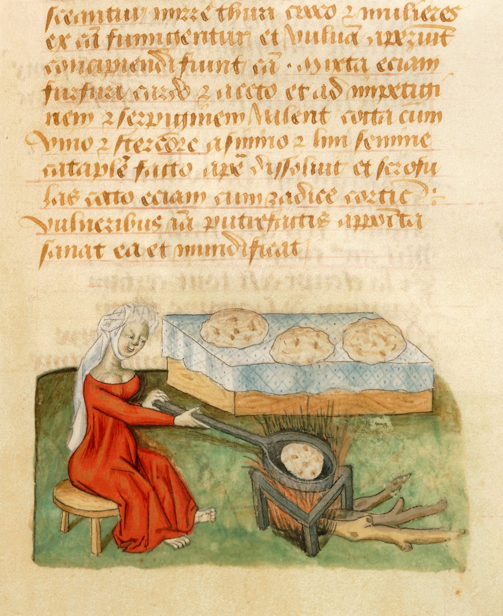 Sida från Tractatus de Herbis av Dioscorides Pedanius av Italian School