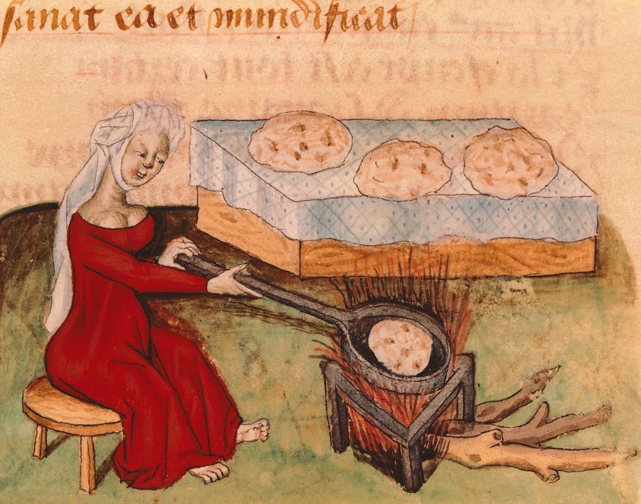 Sida från Tractatus de Herbis av Dioscorides Pedanius av Italian School