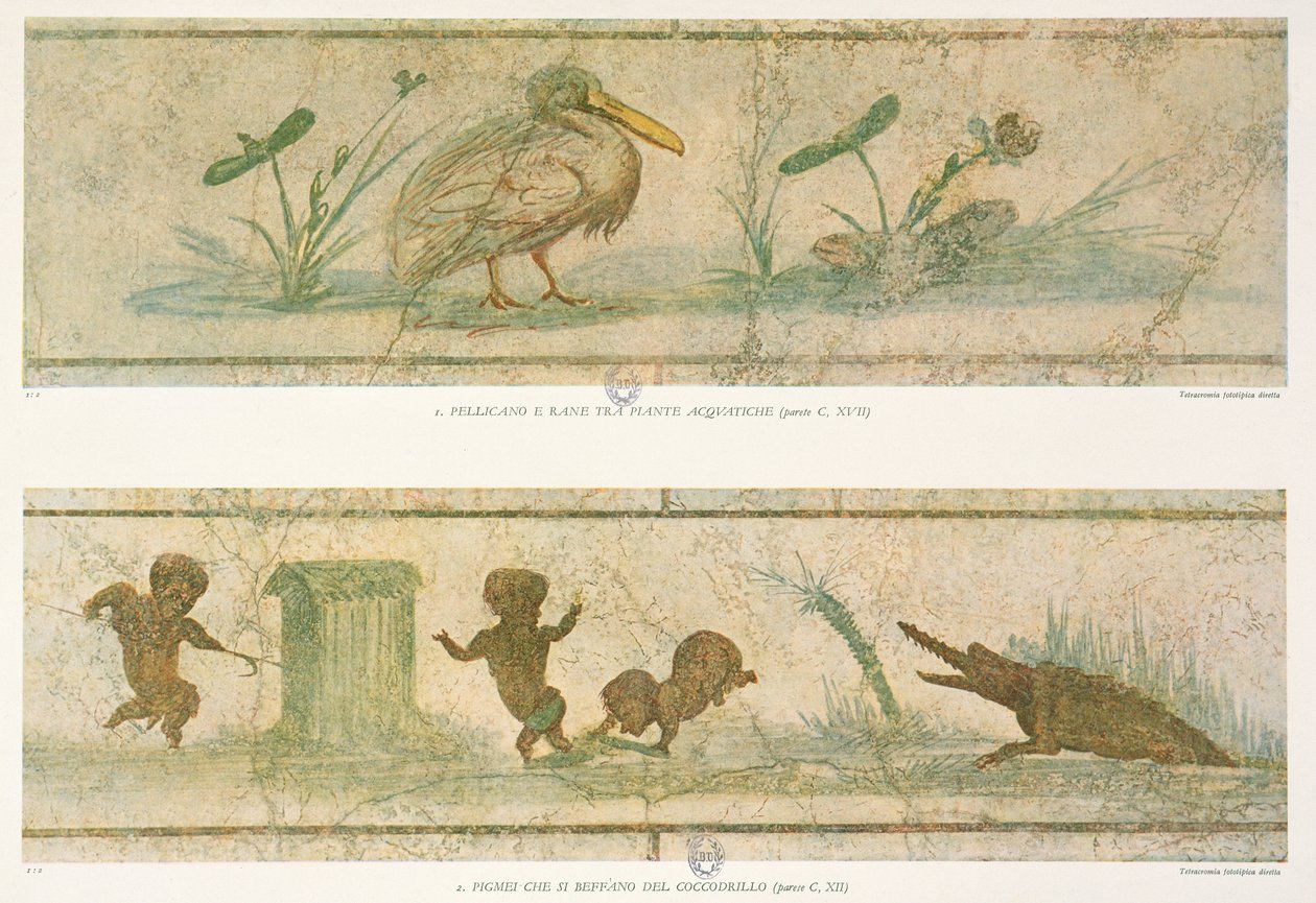 Pelikaner, vattenväxter och pygméer som flyr för en krokodil, efter de ursprungliga freskerna, från Images du Colombier de la Villa Pamphilj av G. Bendinelli, 1941 av Italian School
