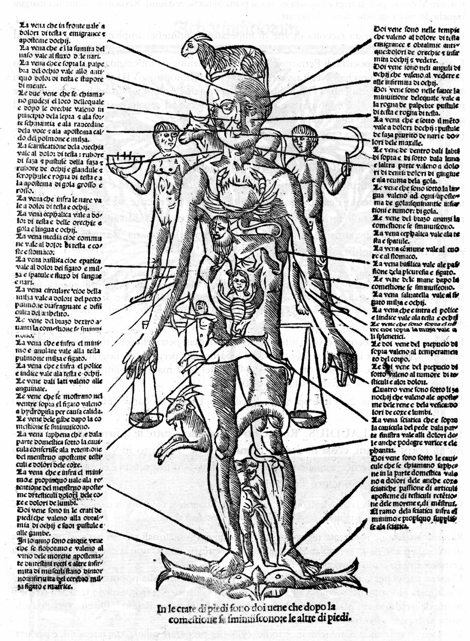 Plåt som representerar en människokropp med positionen för alla organ och stjärntecknen som motsvarar dem genom deras astrologiska influenser. Plage tagen från "" Recetoro di Galeno optio e probato a tutte le infirmita che accadeno a huomini e a donne di d av Italian School
