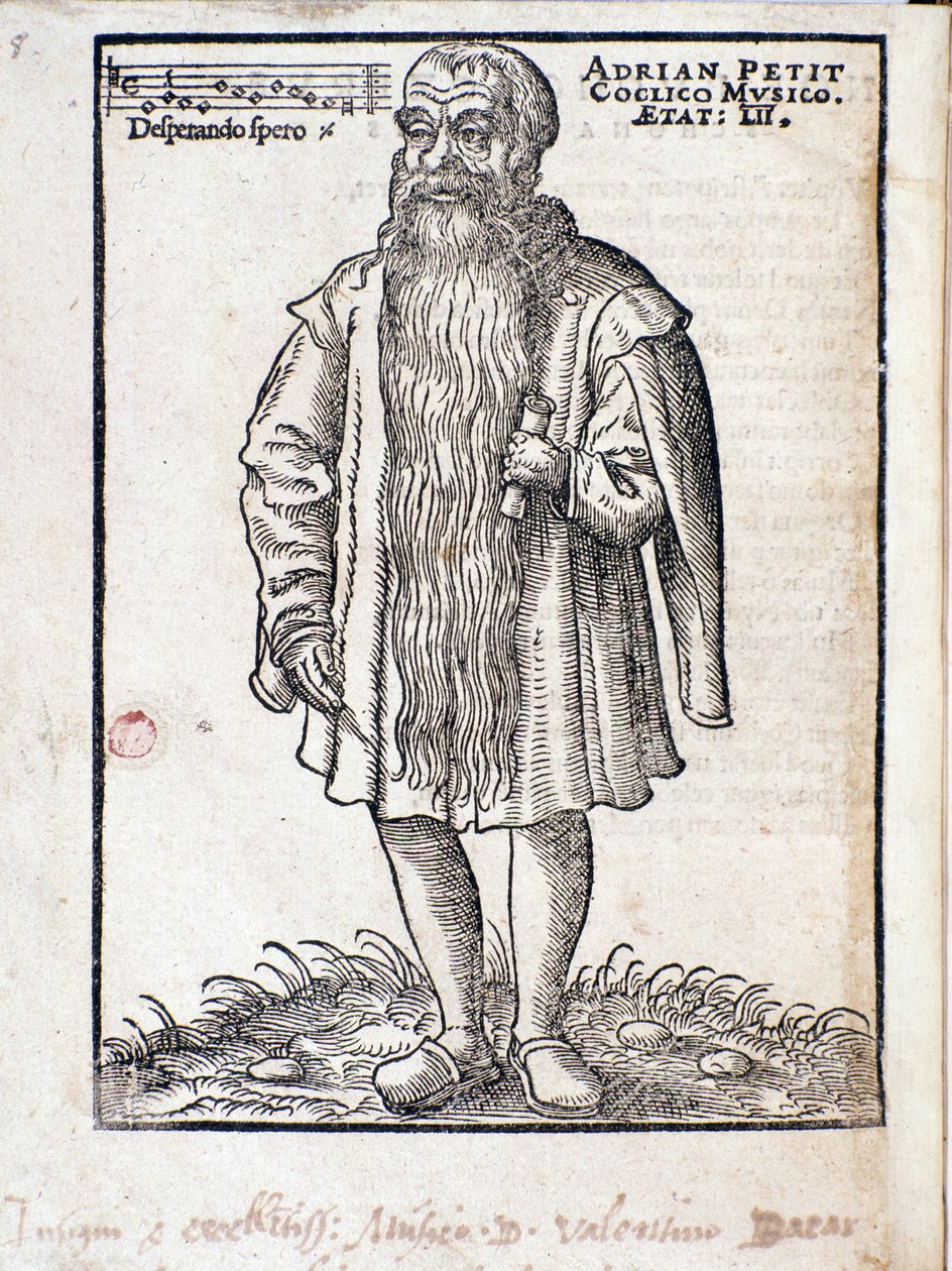 Porträtt av Adrianus Petit Coclico (1500-1562) nederländsk kompositör från renässansen. av Italian School