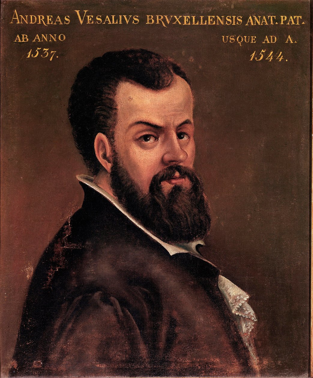 Porträtt av Andre Vesale (Andreas Vesalius) (1514-1564), anatom och doktor av Karl V anonym målning av den italienska skolan. 1500-talets Padua, universitet av Italian School