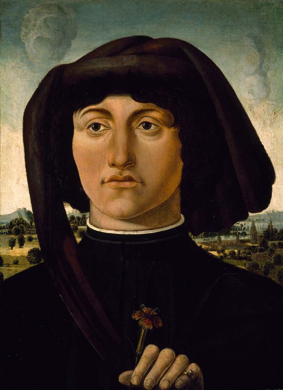 Porträtt av en ung man med en rosa blomma, ca 1475-85 (tempera på trä) av Italian School
