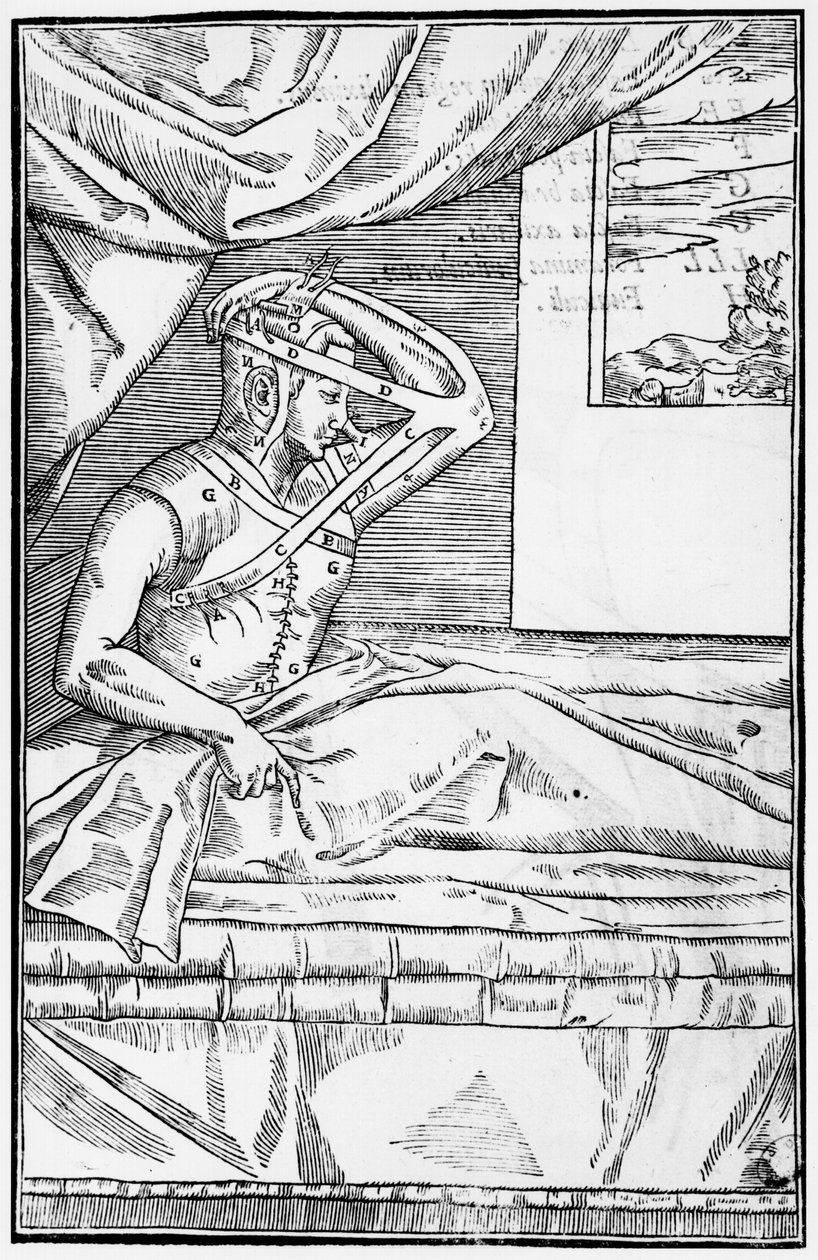 Rekonstruktiv kirurgi på näsan, illustration från De curtorum chirurgia per insitionem av Gaspare Tagliacozzi (1545-99) Venedig, publicerad 1597 av Italian School