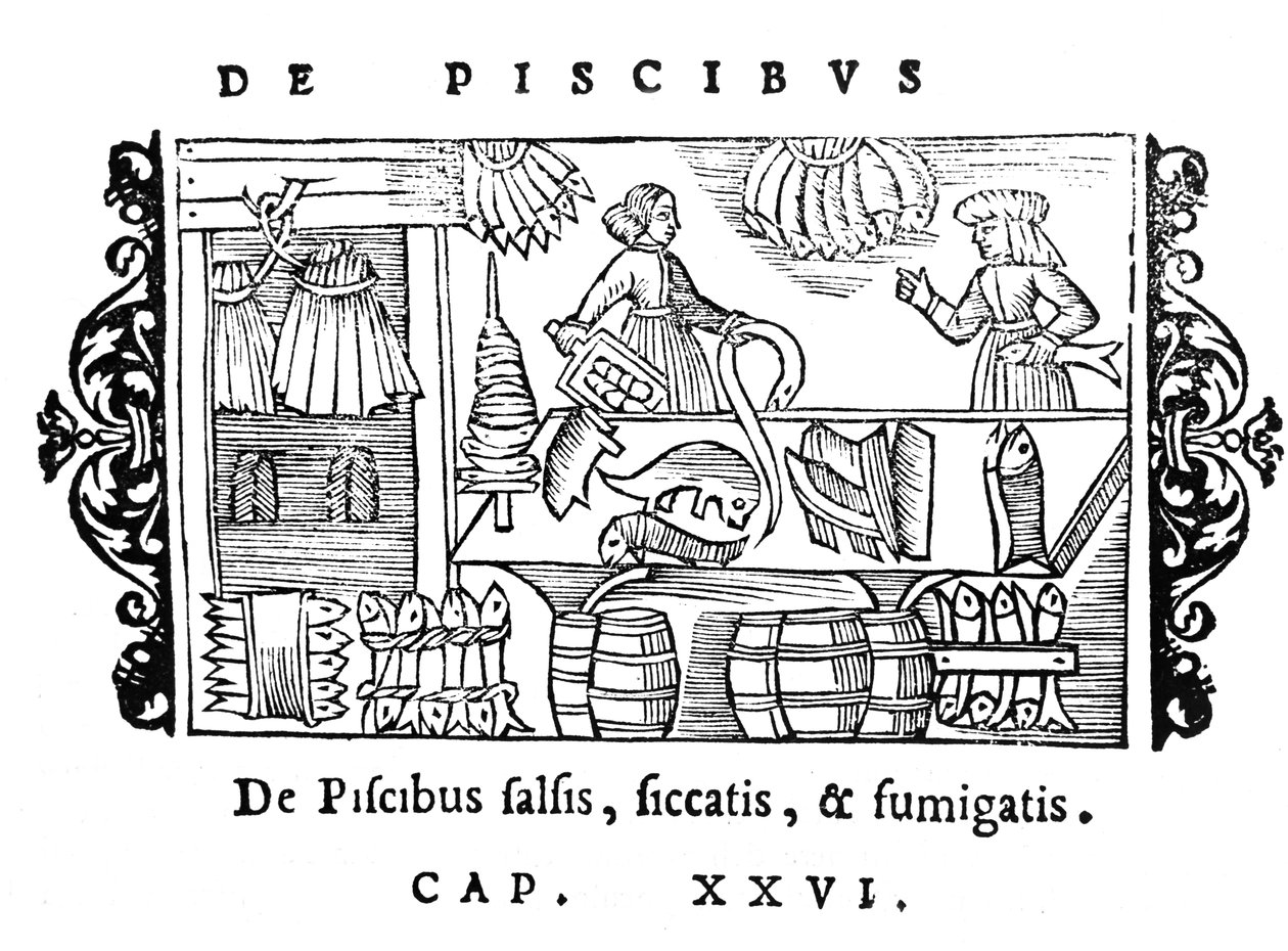Saltning, torkning och rökning av fisk, illustration från Historia de Gentibus Septentrionalibus av Olaus Magnus (1490-1558), publicerad i Rom, 1555 av Italian School