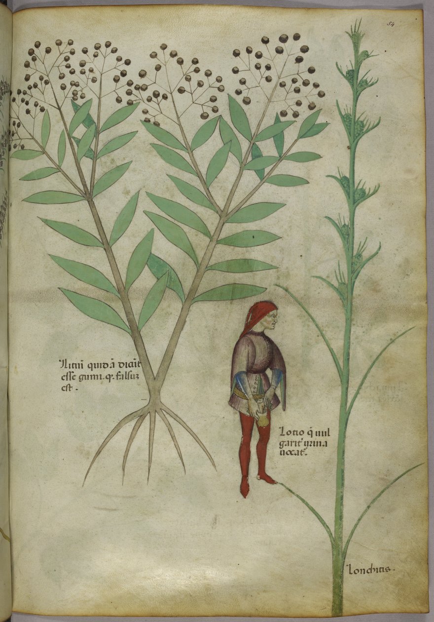 Sloane 4016 f.54 Man urinerar i en kruka, från 
