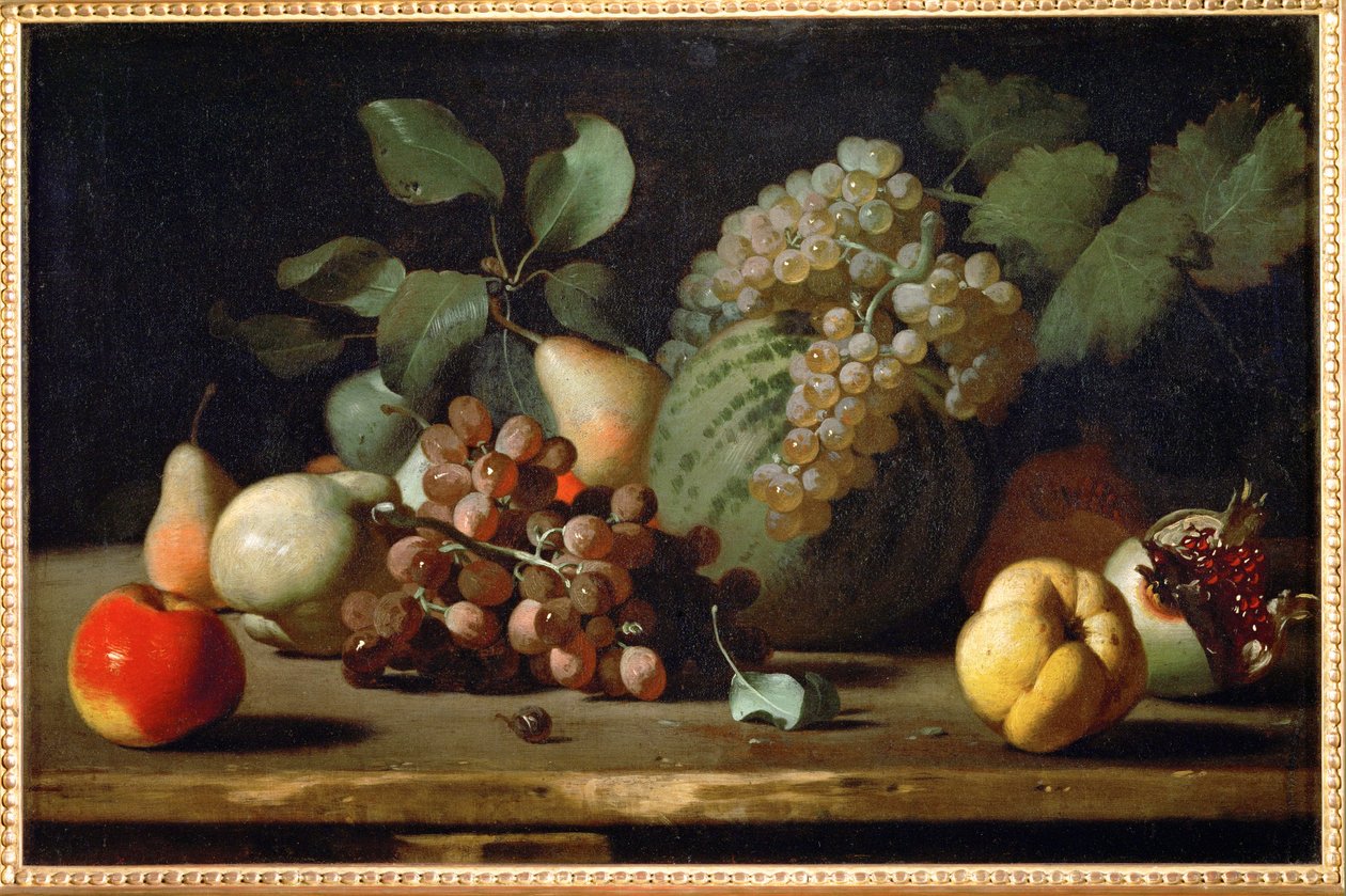 Stilleben med vindruvor och granatäpple, tidig... av Italian School