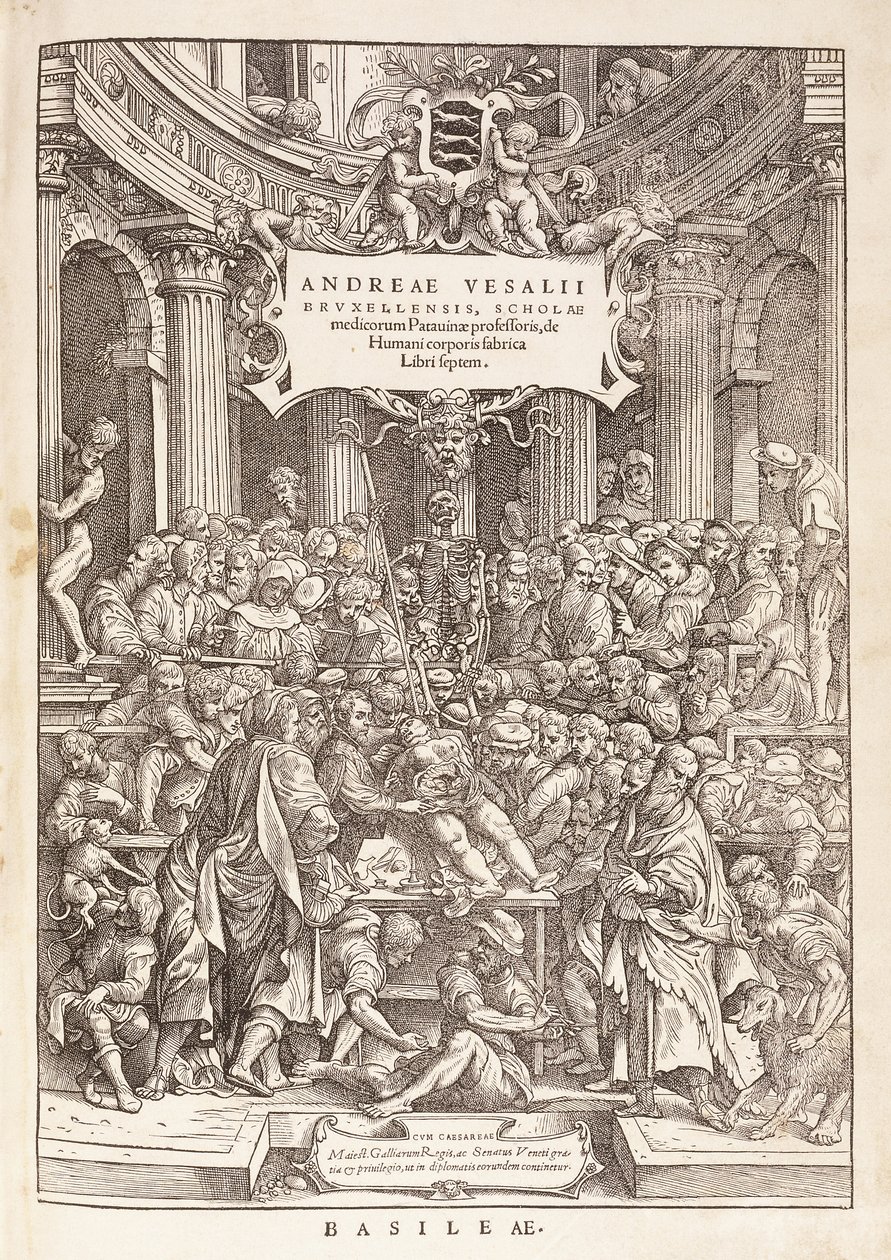 Författaren genomför en anatomisk dissektion i en kirurgisk teater, 1543 av Italian School