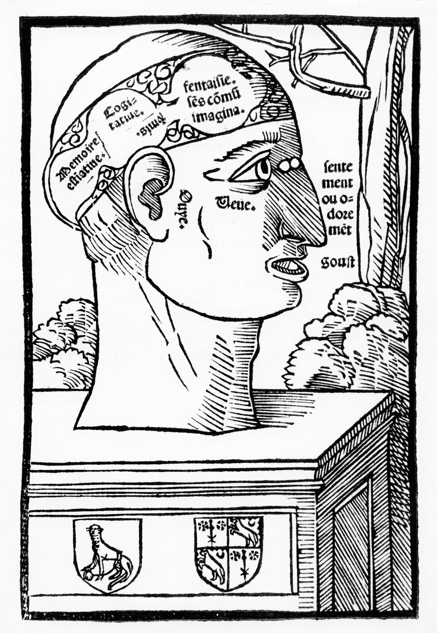 The Brain and Human Facultys, från Anatomia Mundini, fransk upplaga, publicerad 1537 av Italian School