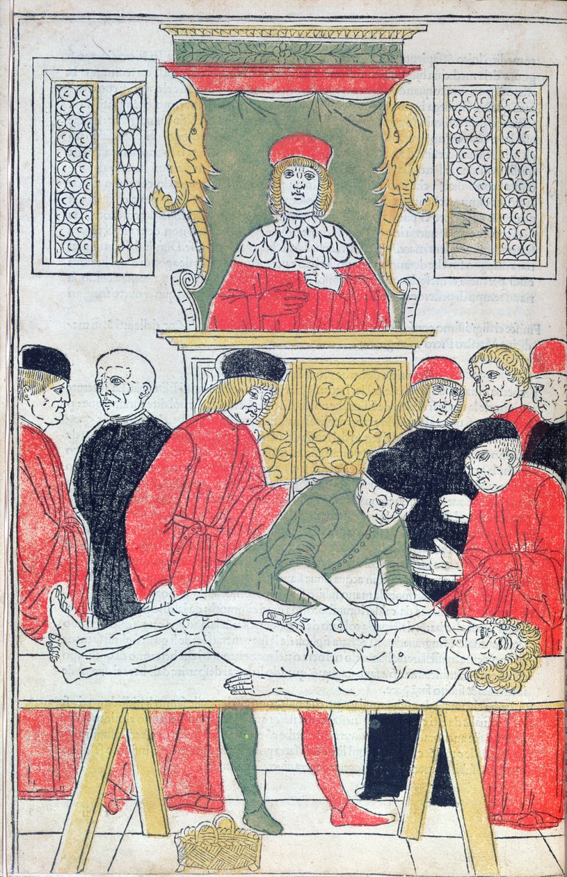 Dissektionen, illustration från 