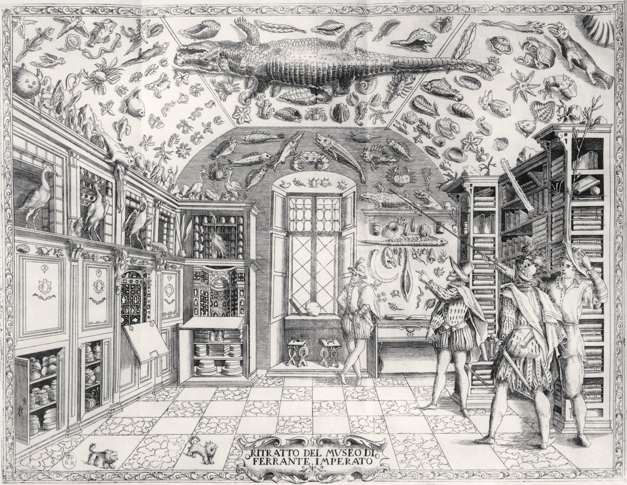 Kejsar Ferdinand III:s naturhistoriska museum från Historia Naturale av Ferrante Imperato (1550-1631) pub. år 1672 av Italian School