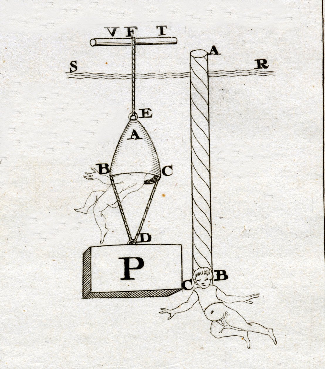 Borellis klockor: den till höger skulle aldrig ha formats - i "" De Motu Animalium"" av Giovanni Alfonso Borelli (1608 - 1679) av Italian School