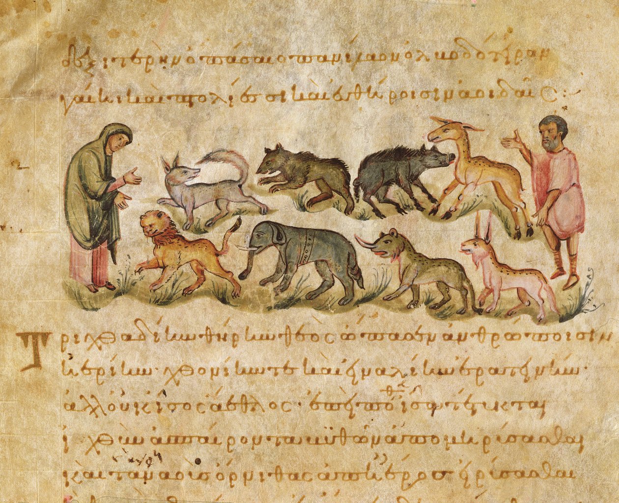 Avhandling om de många djurarter som bebor jorden, illustration från Cynegetica av Oppian (tempera på vellum) av Italian School