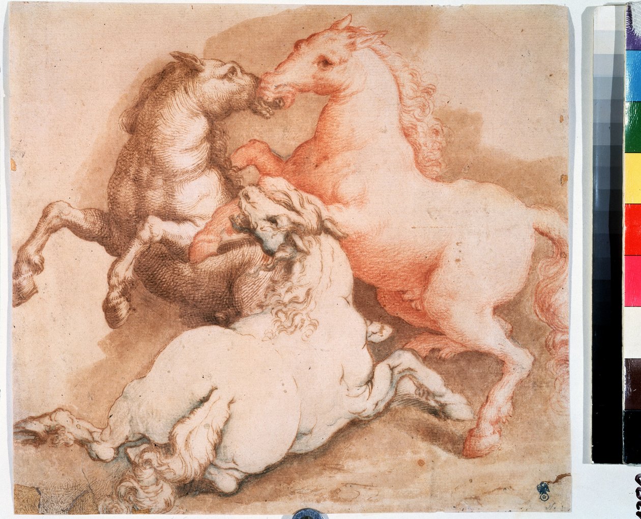 ""A horse fight"" (Fighting horses) Pennteckning, bläck från den italienska skolan. 1550-1600 Pushkin-museet, Moskva av Italian School