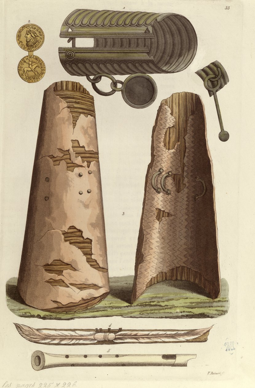 Olika vikingaföremål: bronsarmband, guldmedalj med runalfabet, sköldar, flöjter. Illustration av V. Raineri från 
