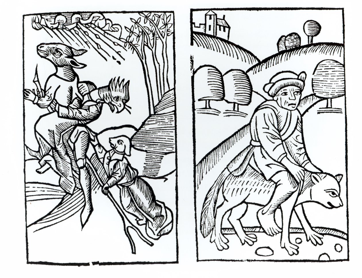 Häxor förklädda till djur som rider på en kvast (vänster) och en manlig häxa som rider på en varg (höger), kopior av illustrationer från Compendium Maleficarum av Fr M Guaccius, Milano 1608, använd i History of Magic av Italian School