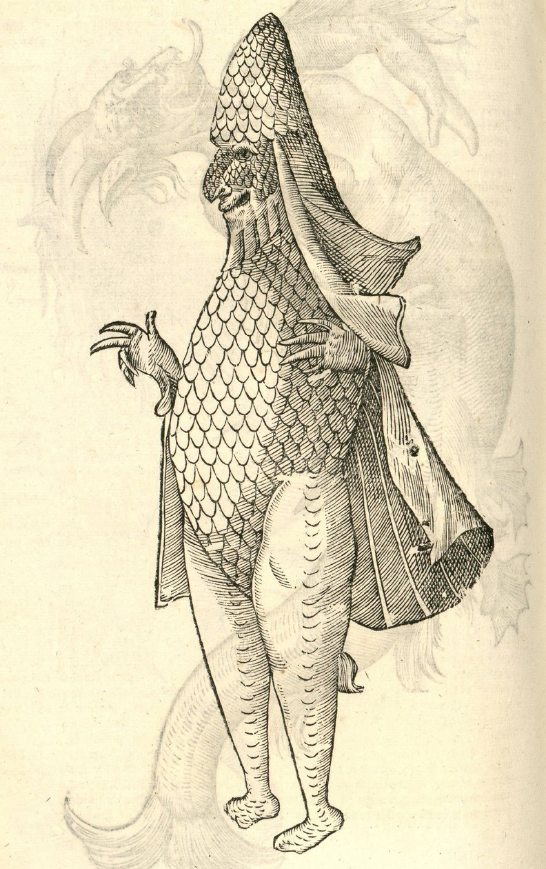 illustration av Monstro Marinus från Aldrovandis History of Monsters, 1642 av Italian School