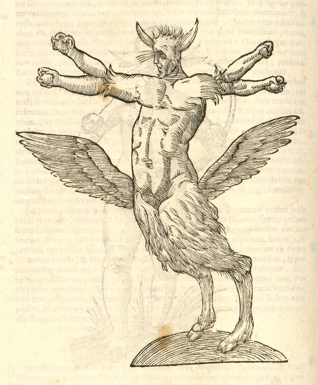 illustration av Monster från Aldrovandis History of Monsters, 1642 av Italian School