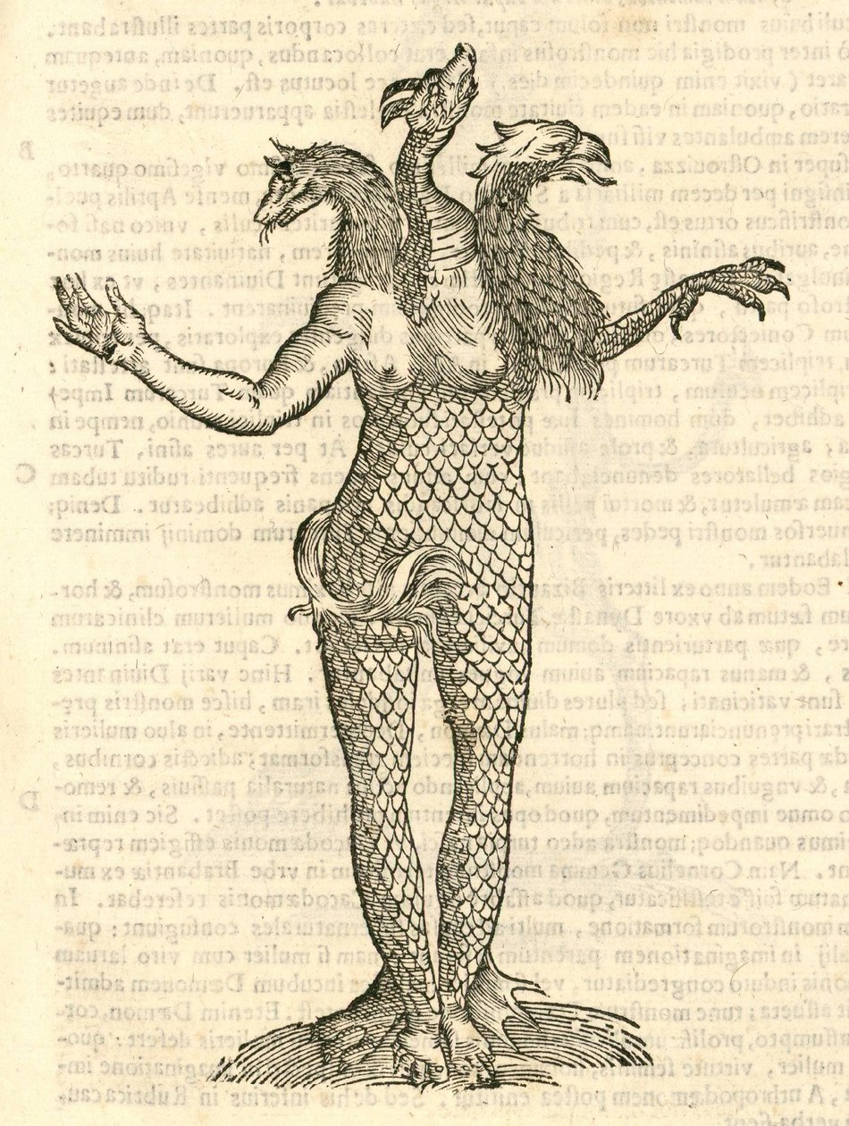 illustration av ett trehövdat monster med huvudet på en räv, drake och örn från Aldrovandis History of Monsters, 1642 av Italian School