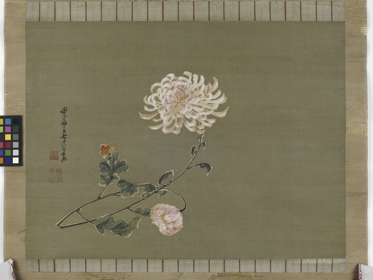 Krysantemum, Edo-period, 1791 (bläck & färg på siden) av Ito Jakuchu