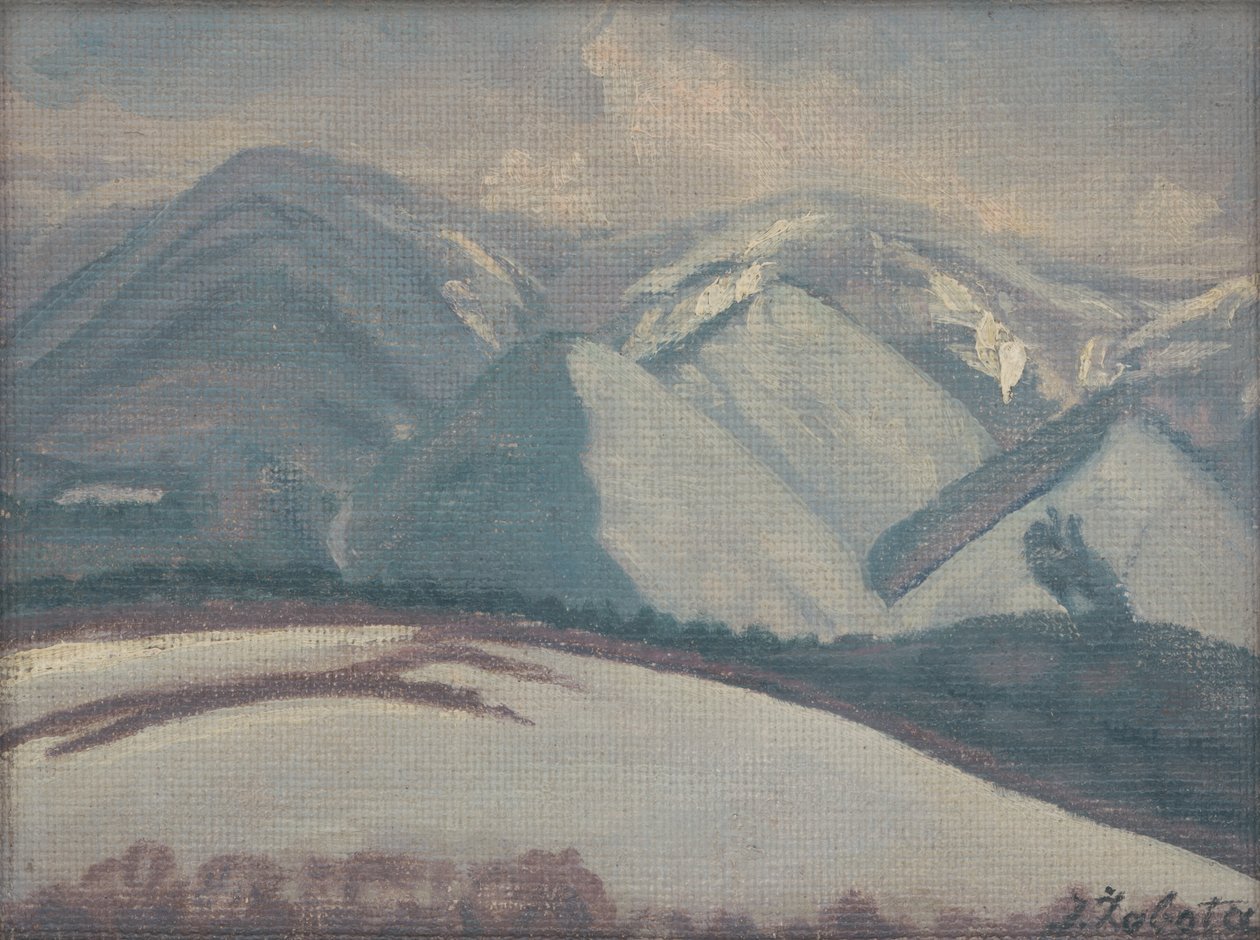  Zasnezene gorenSlovencina: Zasnezene horyn av Ivan Zabota