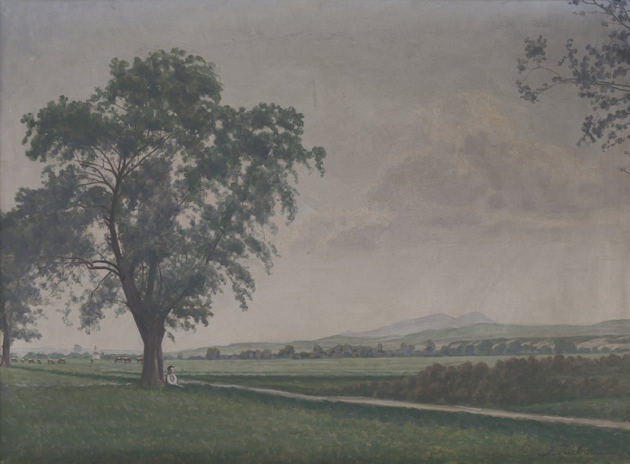 Landscape near Pribovce Village av Ivan Zabota