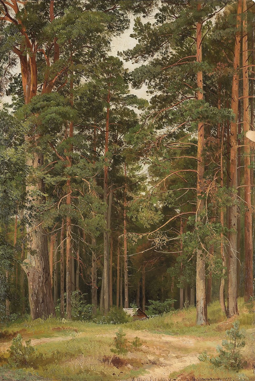 En sommardag, Merikiul, 1895 av Ivan Ivanovich Shishkin