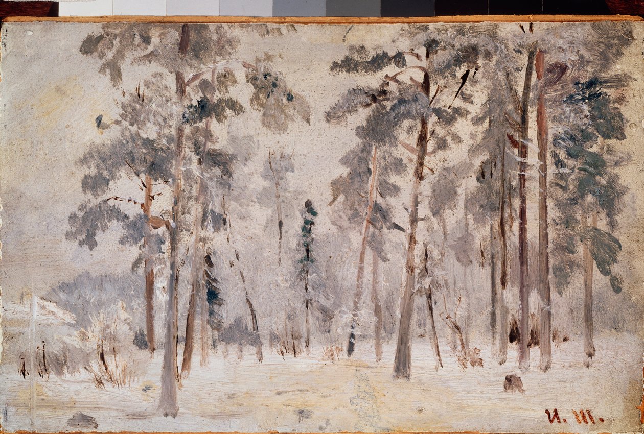 Frost (Rimfrost) - Målning av Ivan Ivanovich Shishkin (Shishkin) (1832-1898), olja på duk, cirka 1890 - Rysk konst, 1800-talslandskap - Tretyakov Gallery, Moskva av Ivan Ivanovich Shishkin