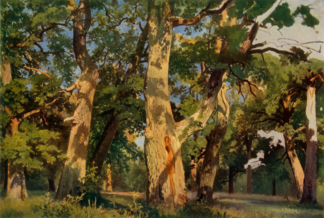 Ekar vid Eventide, 1887, 1965. av Ivan Ivanovich Shishkin