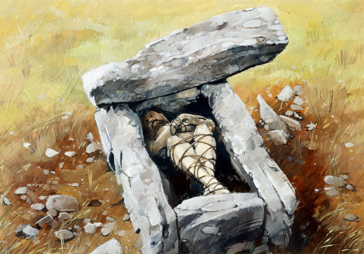 Cist, bronsåldern, c1990-2010 av Ivan Lapper