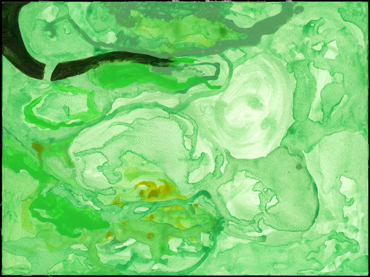 Kensington Gardens Series: The Pool of Chaos (wc på papper) av Izabella Godlewska de Aranda