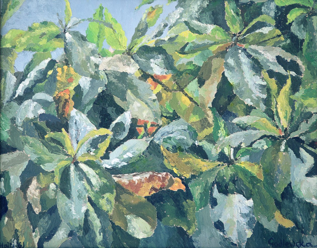Plants, 1961 av Izabella Godlewska de Aranda
