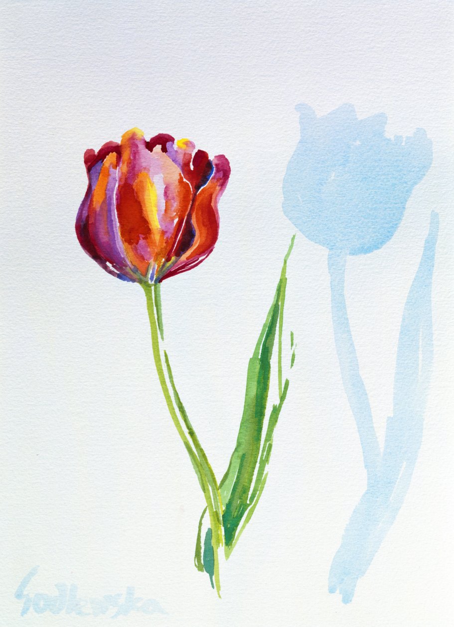 Tulip, 1998 (wc på papper) (se även 124446 & 124447) av Izabella Godlewska de Aranda