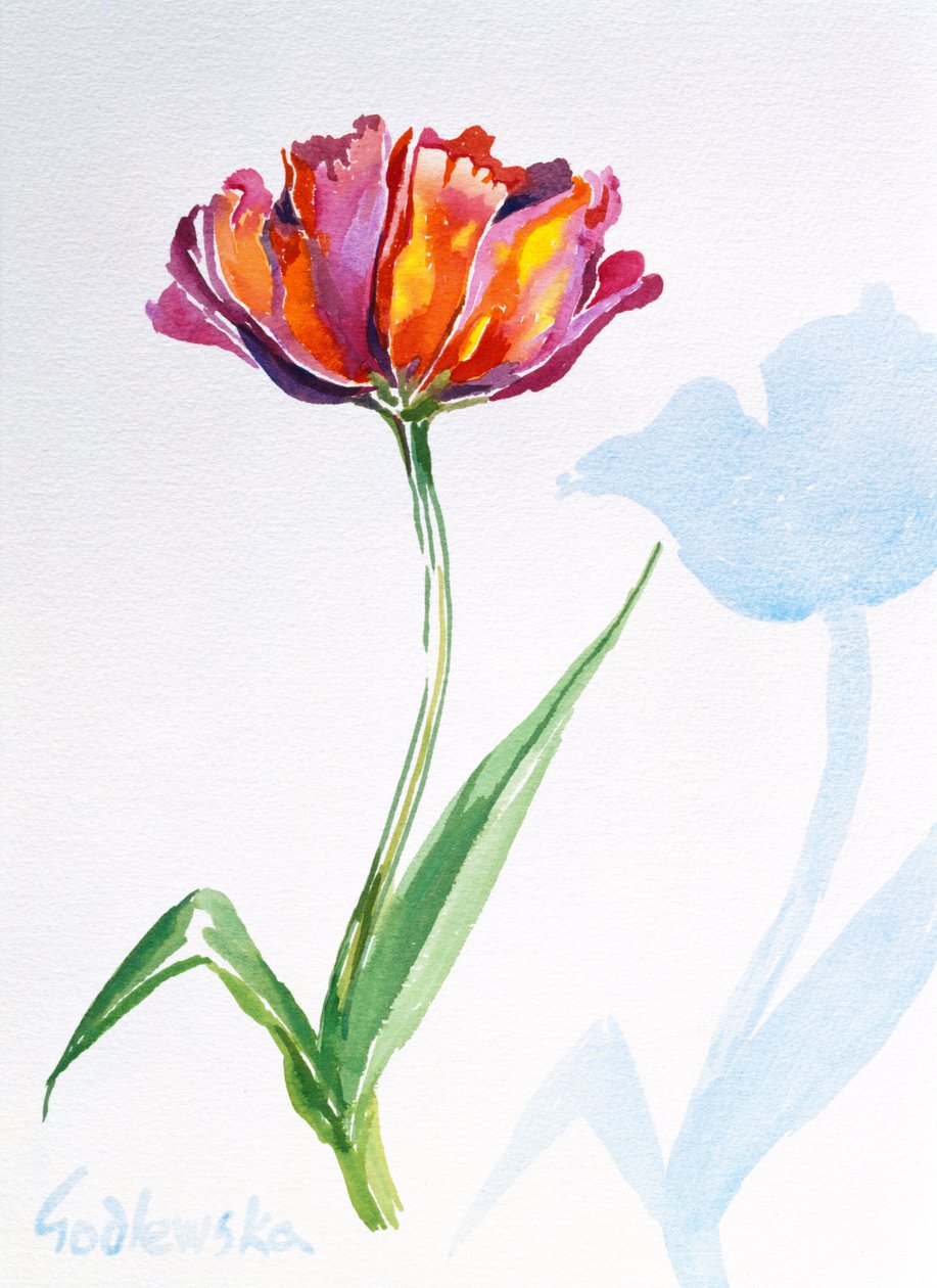 Tulip, 1998 (wc på papper) (se även 124446 & 124448) av Izabella Godlewska de Aranda