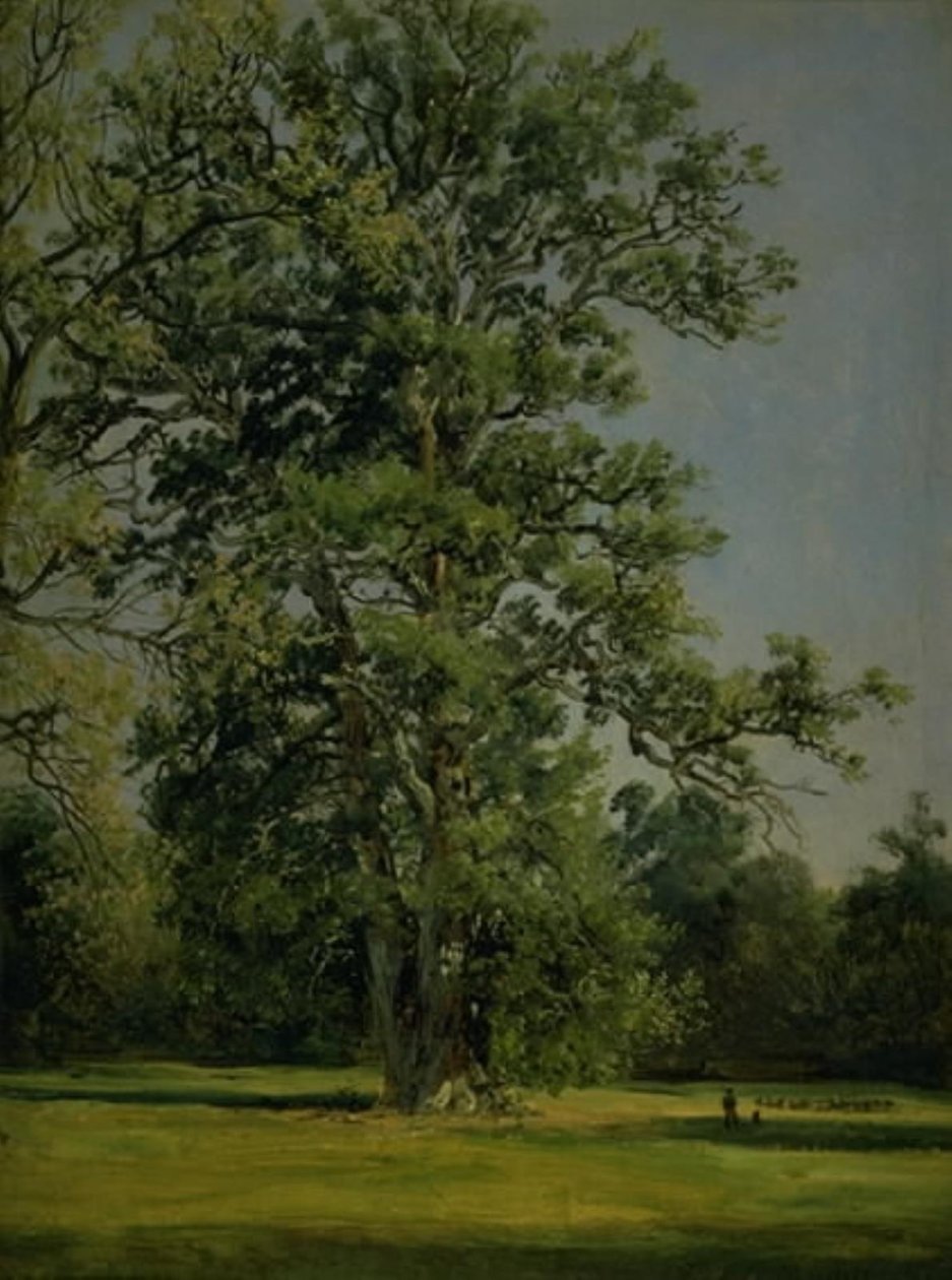 En ek. Utsikt över trädgården vid Wörlitz nära Dessau av Johan Christian Dahl