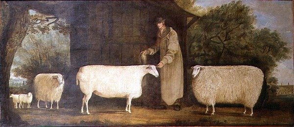 En herde med sin flock av J.D. Curtis
