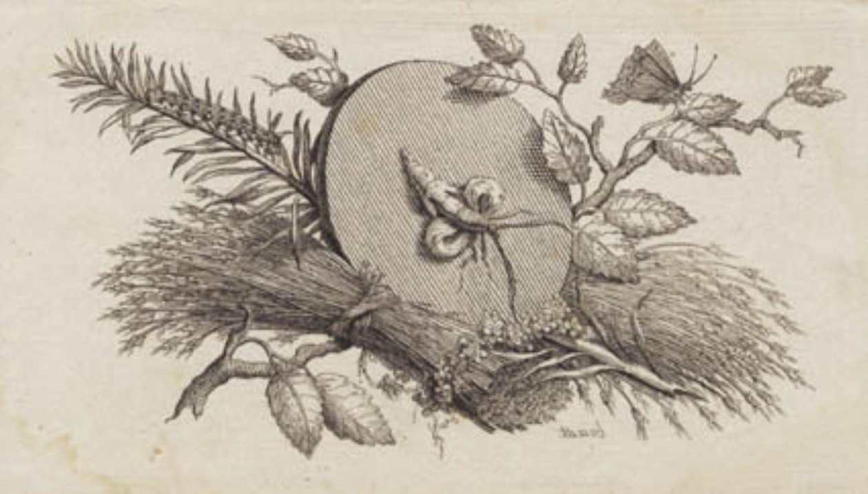 En cirkulär lutande skiva mellan löv och insekter av J.F. Clemens