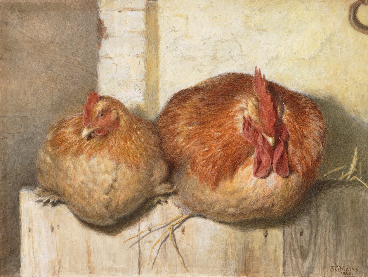 Forty Winks, 1865 (wc på papper) av J.G. Marks