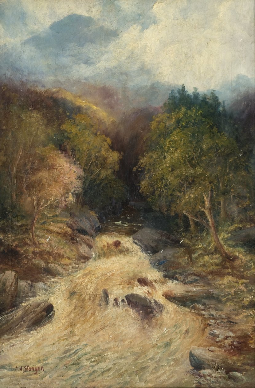 En bergsskog av J.H. Stanger