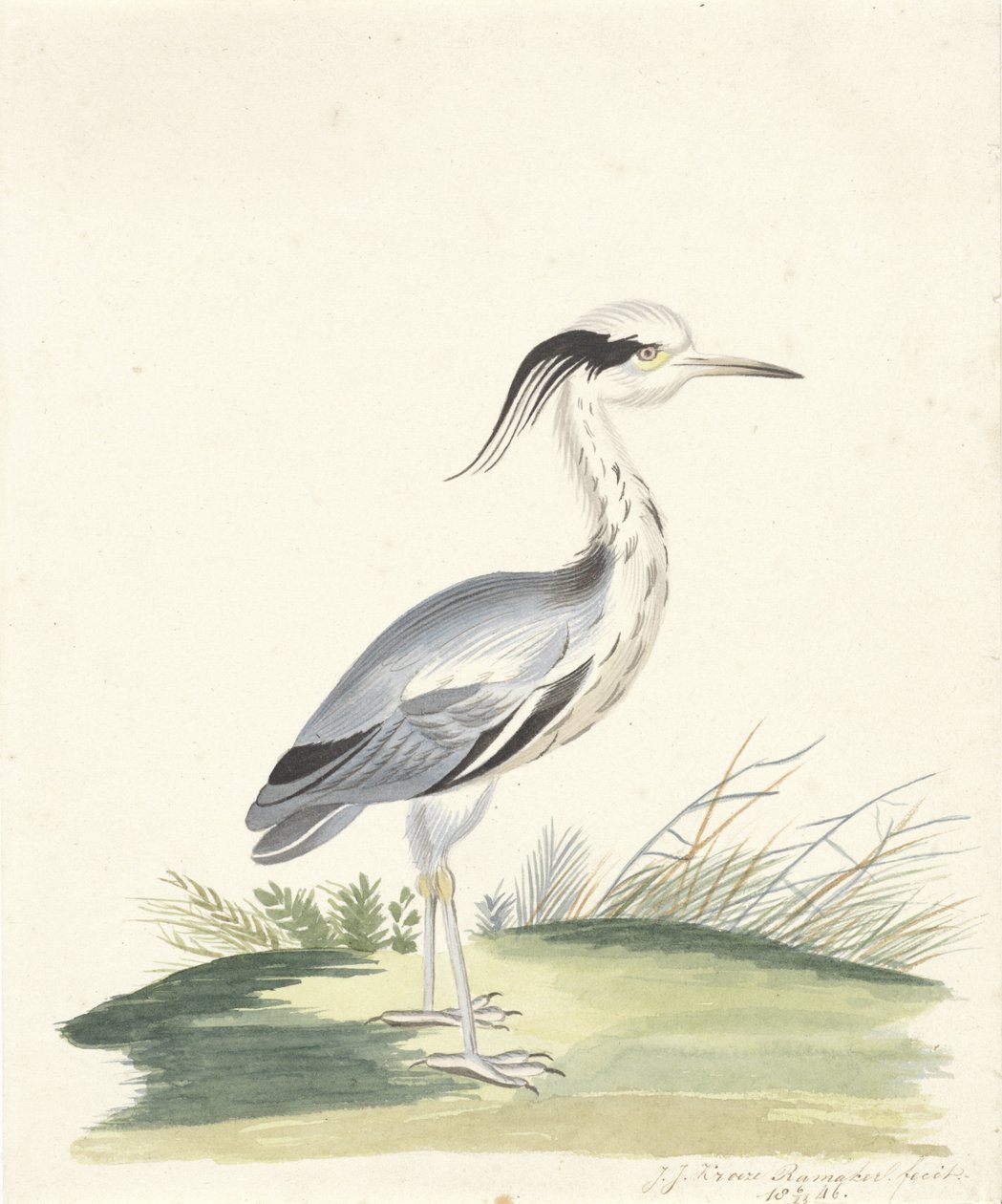 blåhäger av J.J. Ramaker