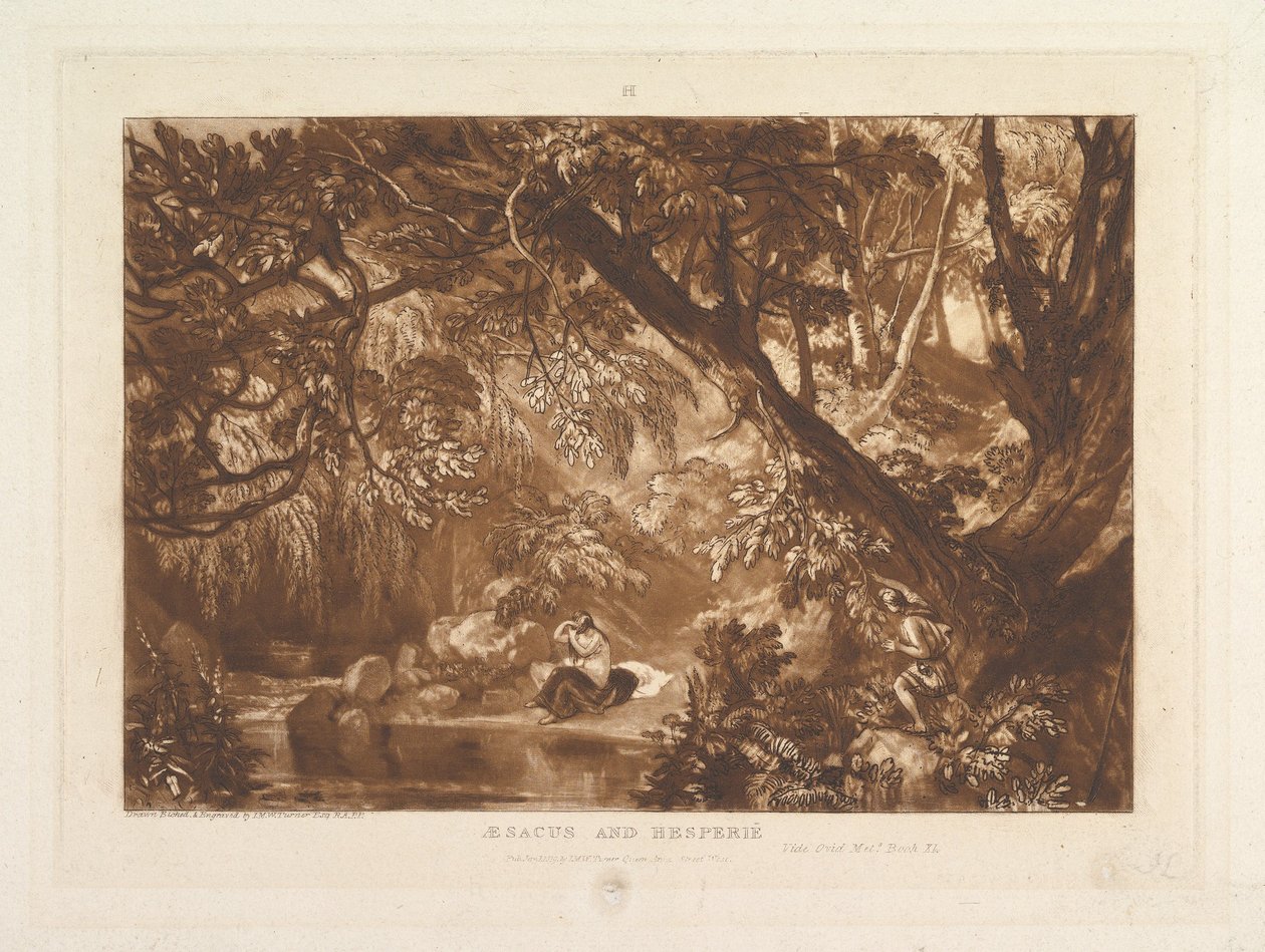 Aesacus and Hesperia, Video Ovid Metamorphoses, Bok XI Liber Studiorum, del X..., 1 januari 1819. av Joseph Mallord William Turner
