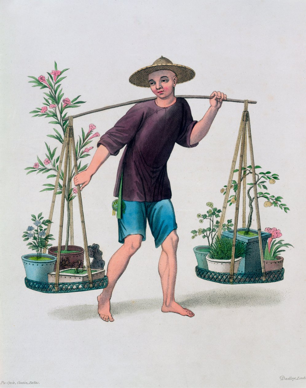 "En portier med fruktträd och blommor", Kina, 1800 av J Dadley