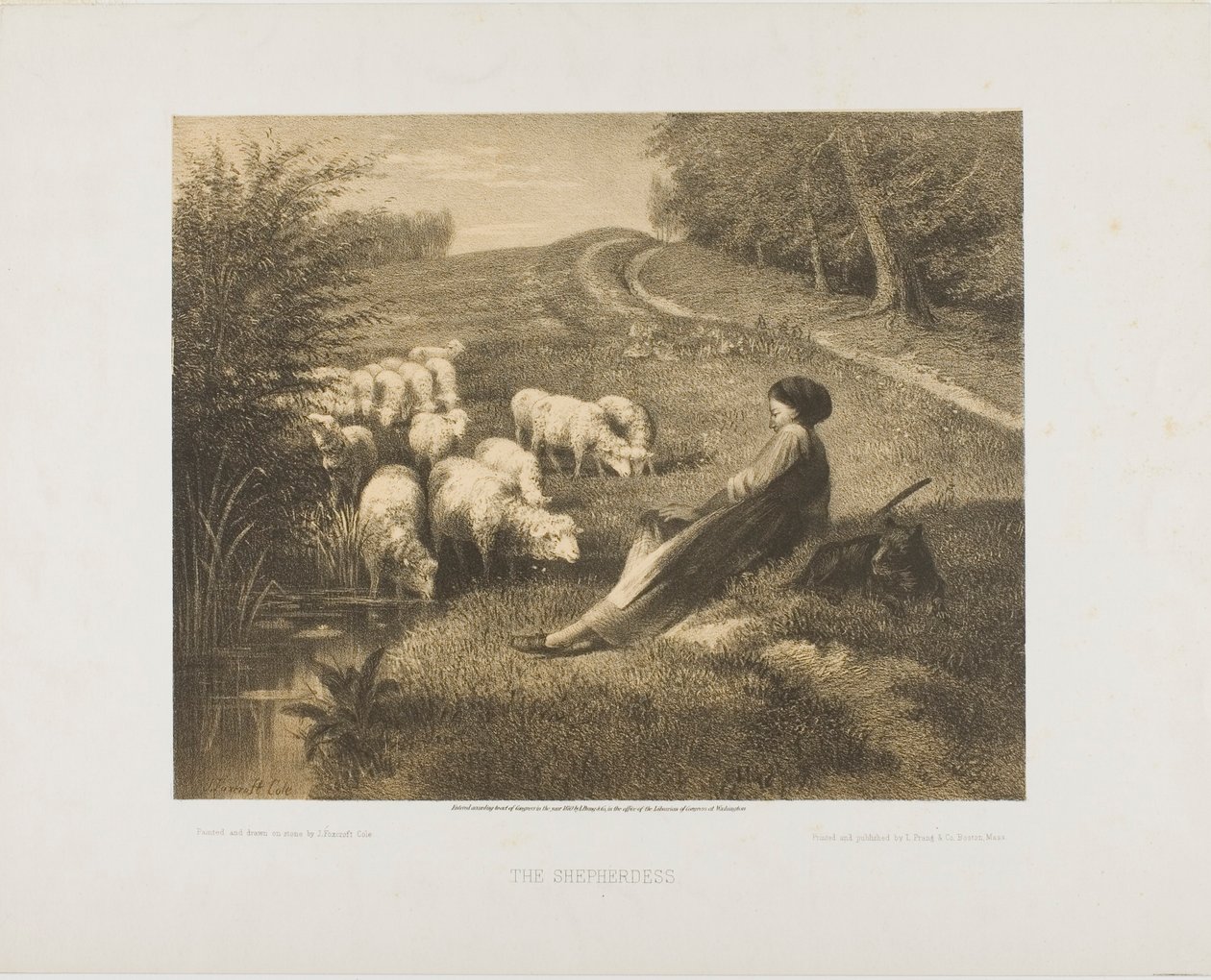 Herdinnan av J. Foxcroft Cole