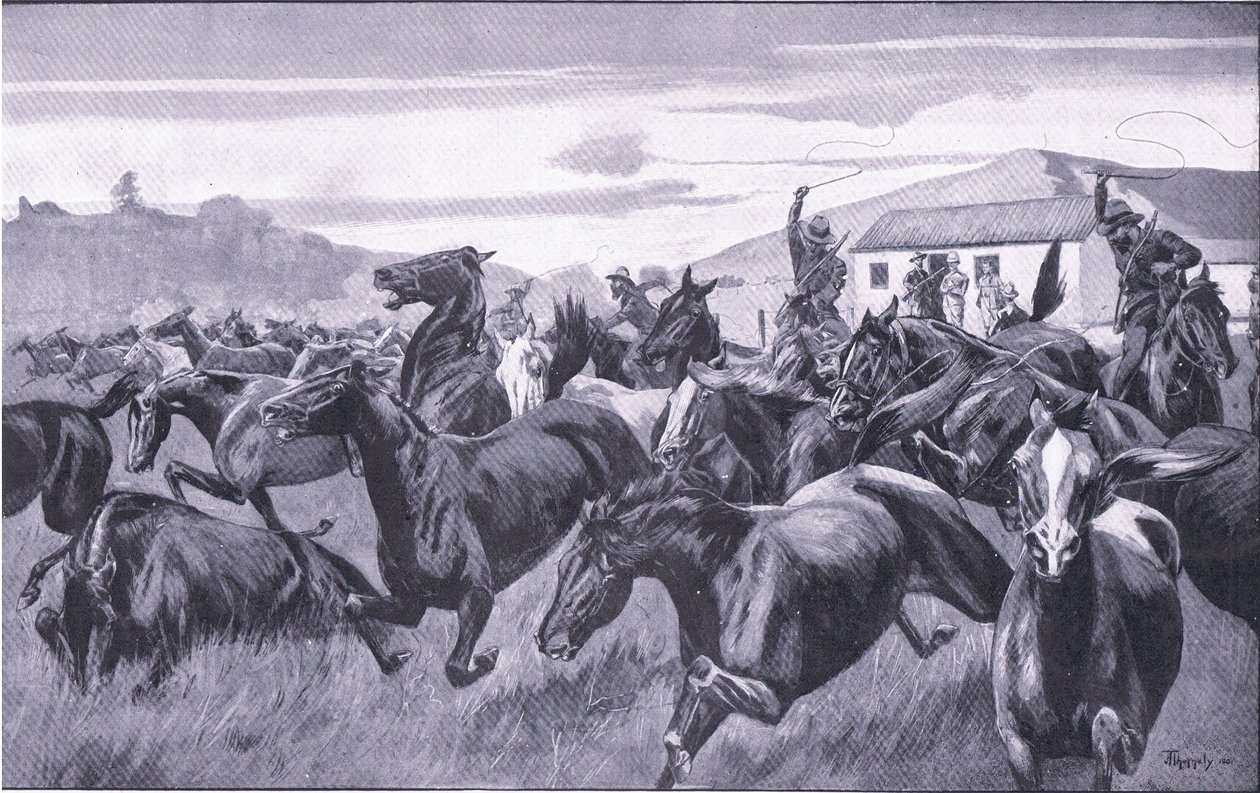 Boers som plundrar Remount Depot i Braamfontein, från After Pretoria: The Guerilla War publicerad av Harmsworth Bros Limited, 1901 av J. H. Thornely