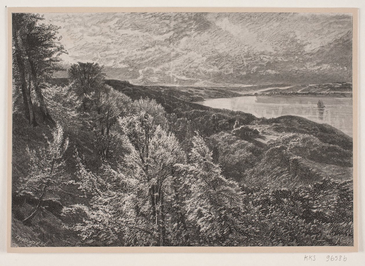 Utsikt från Munkebjerg över Vejle fjord av J. Hildebrand